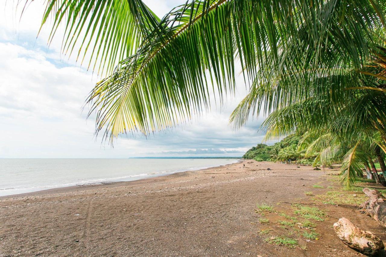 Pacific Edge Eco Lodge Dominical Zewnętrze zdjęcie