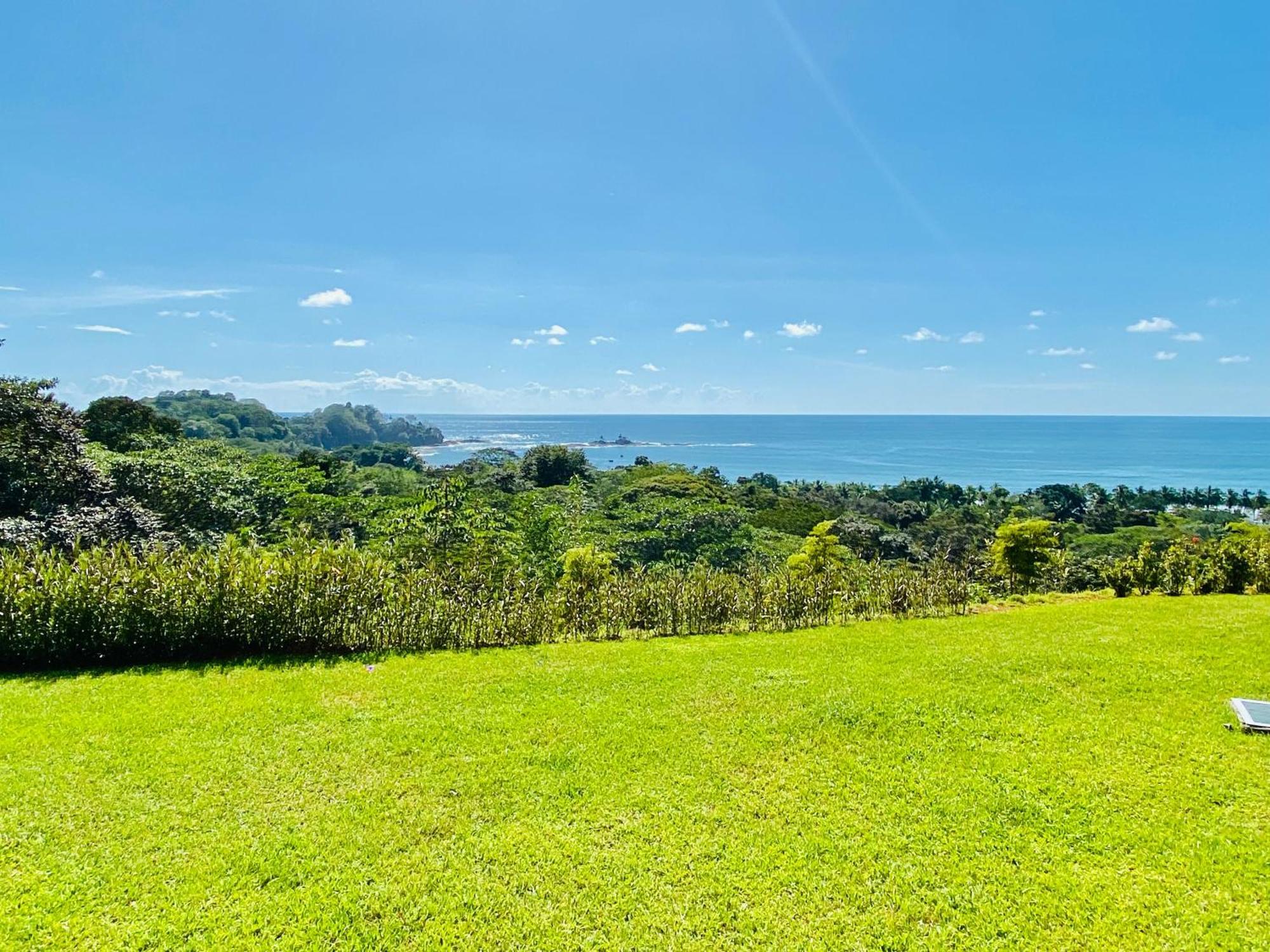 Pacific Edge Eco Lodge Dominical Pokój zdjęcie